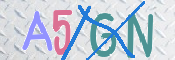 キャプチャ画像