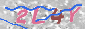 キャプチャ画像