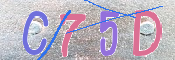 キャプチャ画像