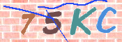 キャプチャ画像