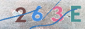 キャプチャ画像