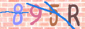 キャプチャ画像