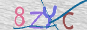 キャプチャ画像