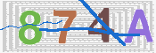 キャプチャ画像