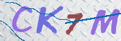 キャプチャ画像