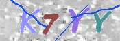 キャプチャ画像