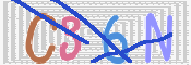 キャプチャ画像
