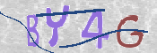 キャプチャ画像