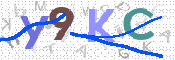 キャプチャ画像