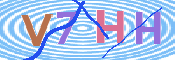 キャプチャ画像