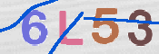 キャプチャ画像