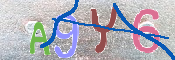 キャプチャ画像