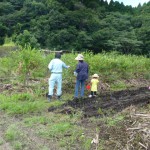 どの木が美味しいですか？