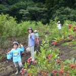 暑いけど楽しいね♪