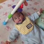 ころりんこ。