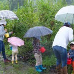 雨にも負けず～