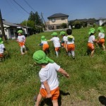 草の中、いろんな虫がいるね。