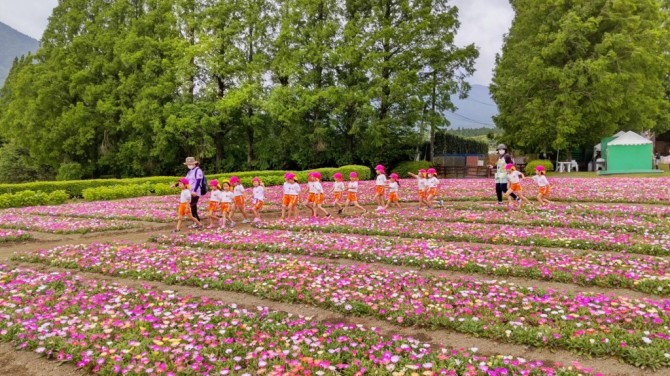 花道を散歩しました。