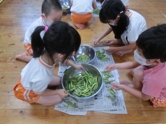 この豆で豆ごはんができるんだね