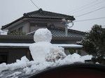 2010_0113oorisu0014.JPG