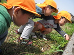 2010_0428oorisu0045.JPG